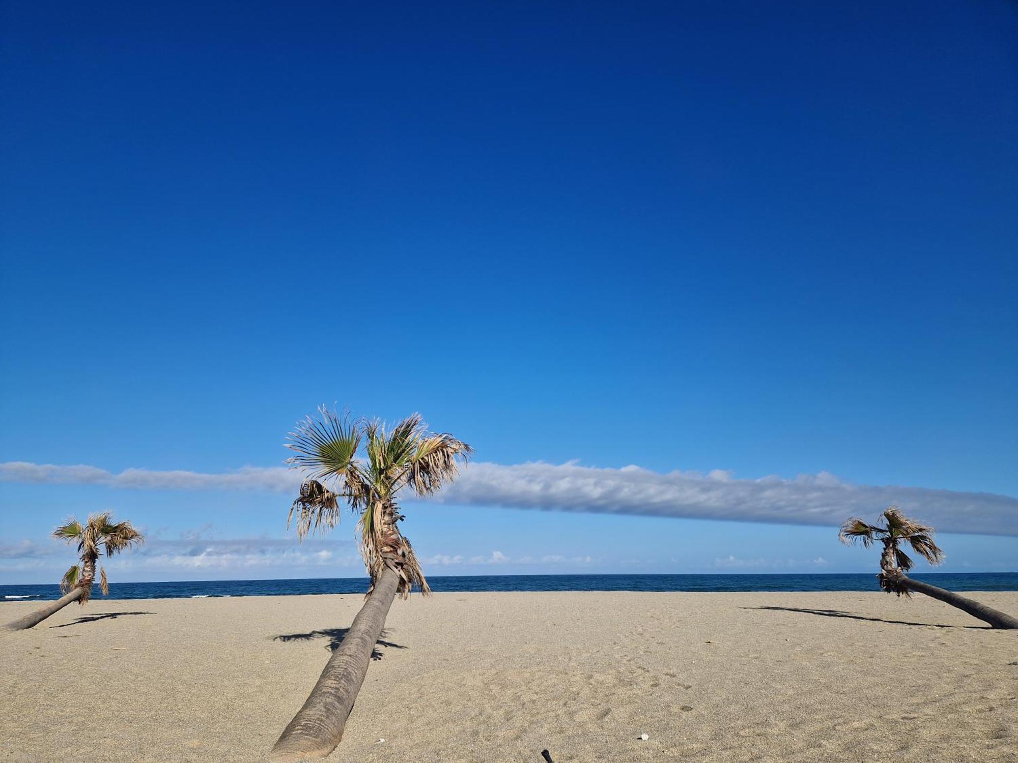 Appartement Front De Mer Le Barcarès Εξωτερικό φωτογραφία